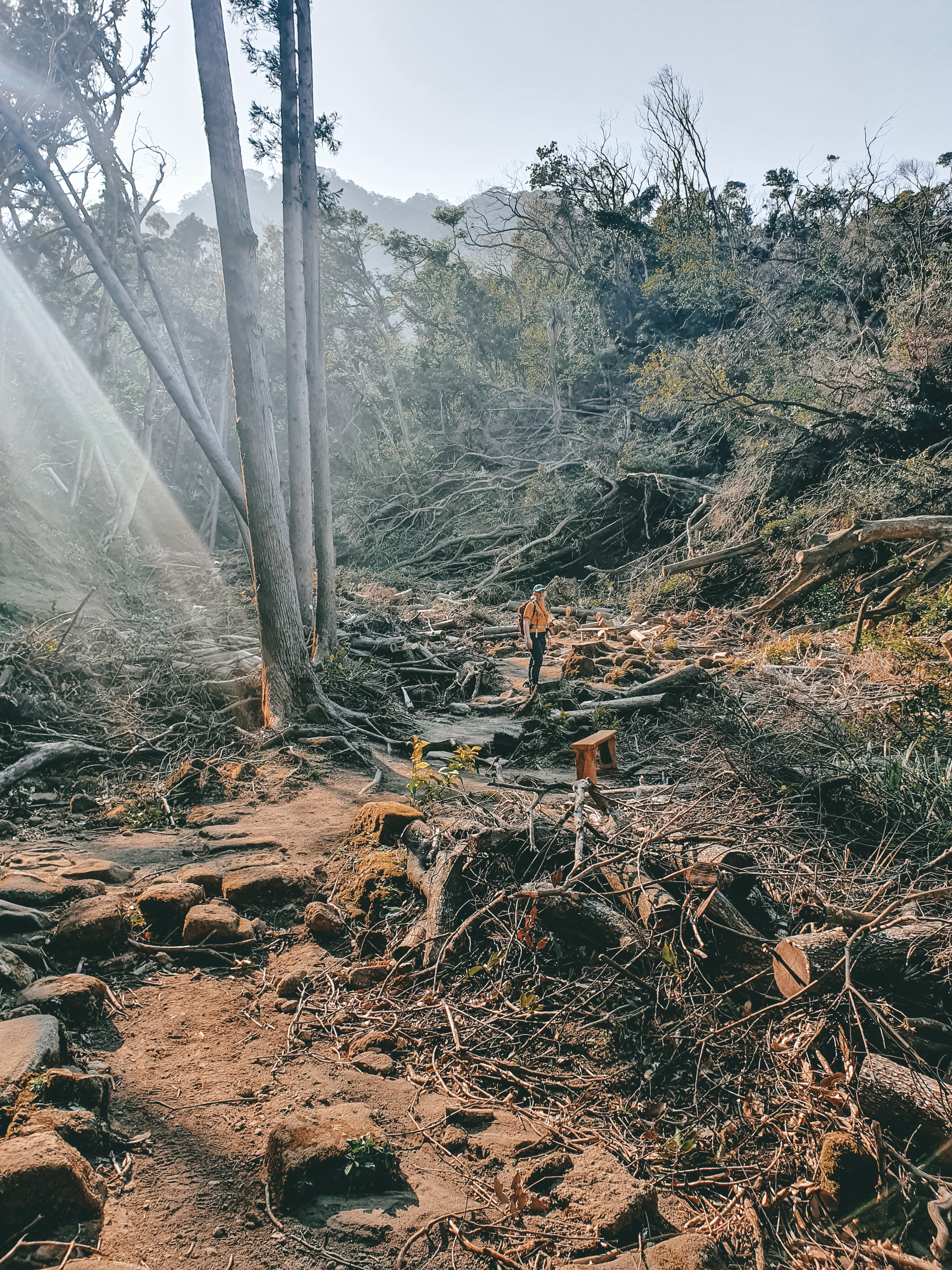 Mount Nokogiri: the local's gem – Globetrotting Peanuts